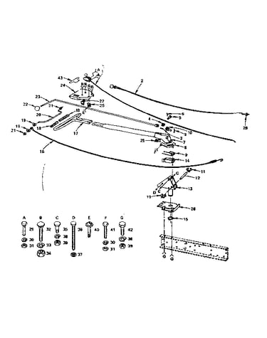 Control group
