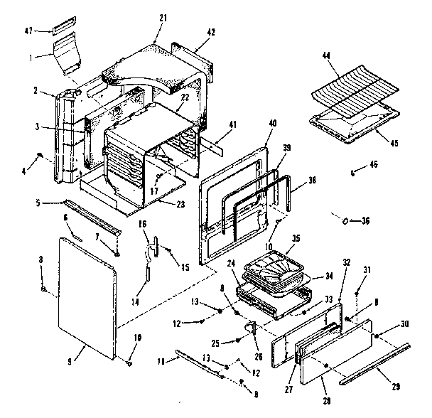 BODY SECTION