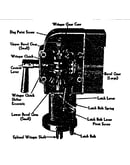 Wringer gear