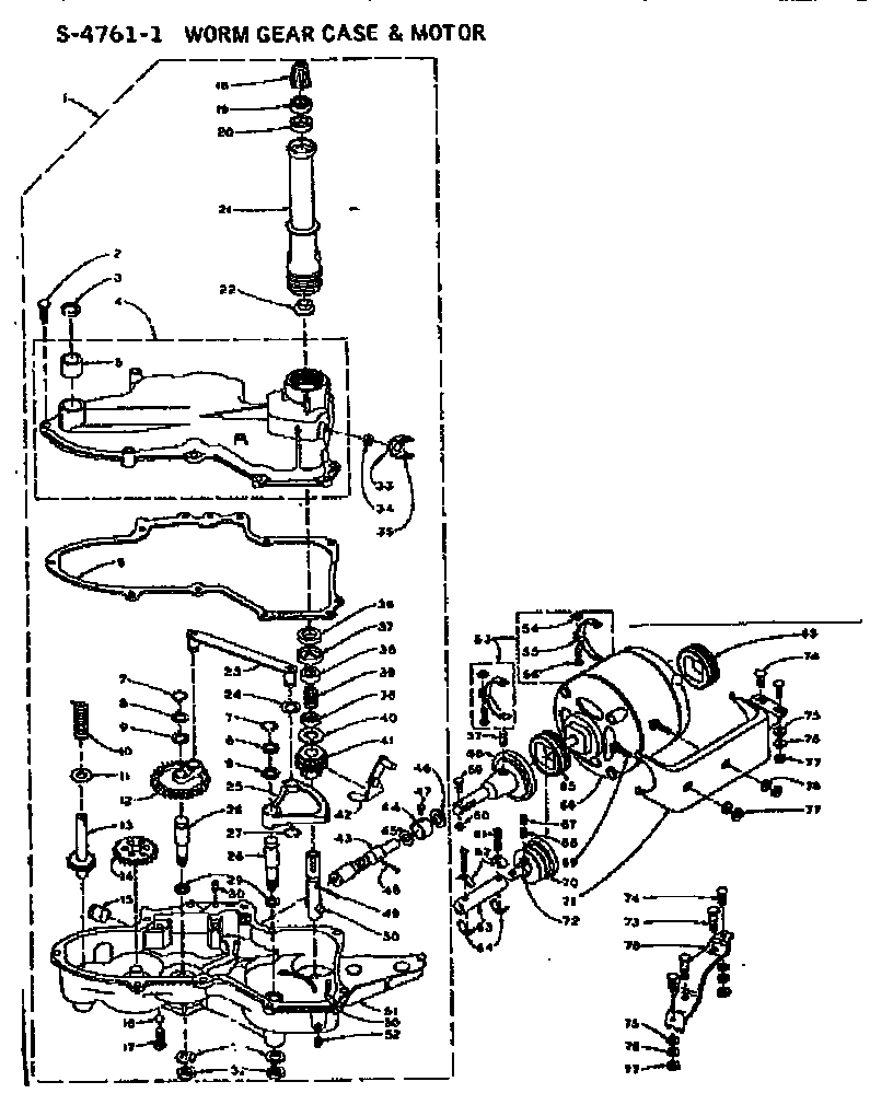 Worm gear and motor