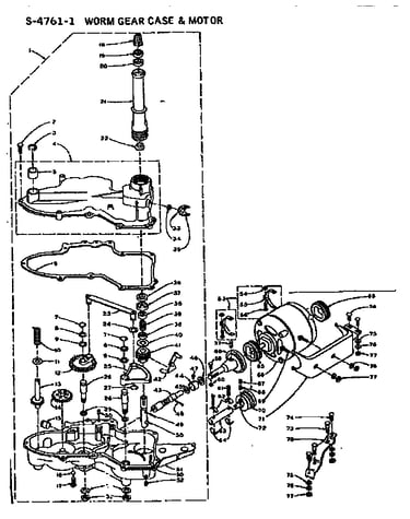 Worm gear and motor