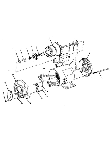 Motor