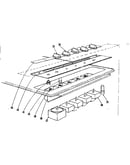 Switch section