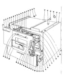 Body section