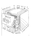 Body section
