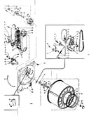 Bulkhead assembly