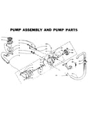 Pump assembly