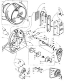 Base and bulkhead assembly