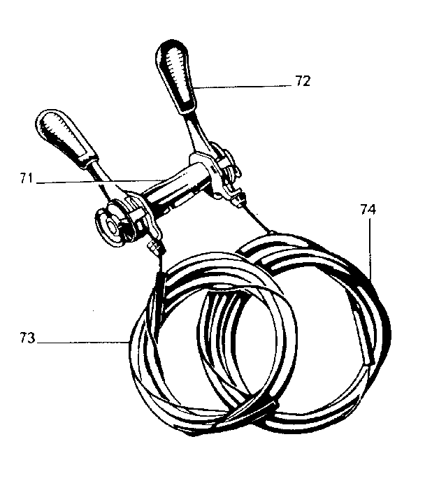 Derailleur levers