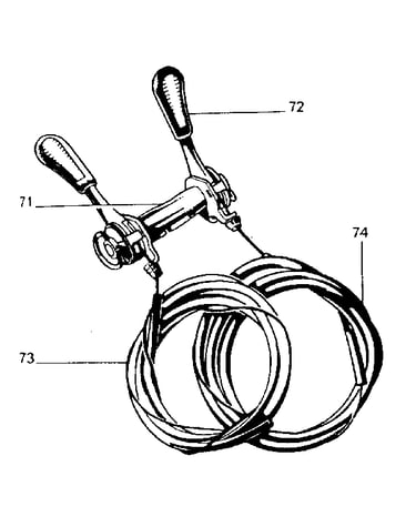 Derailleur levers