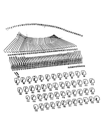 Type bar wire, bell crank & key (american spanish)