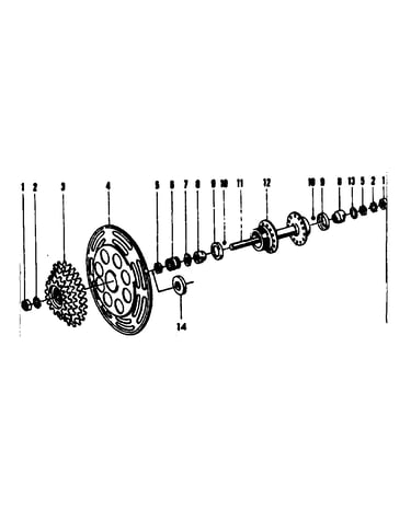 Rear hub