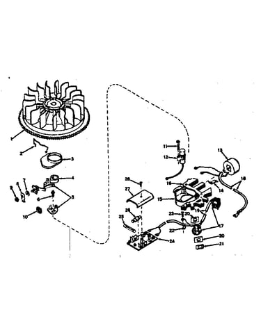 Alternator magneto