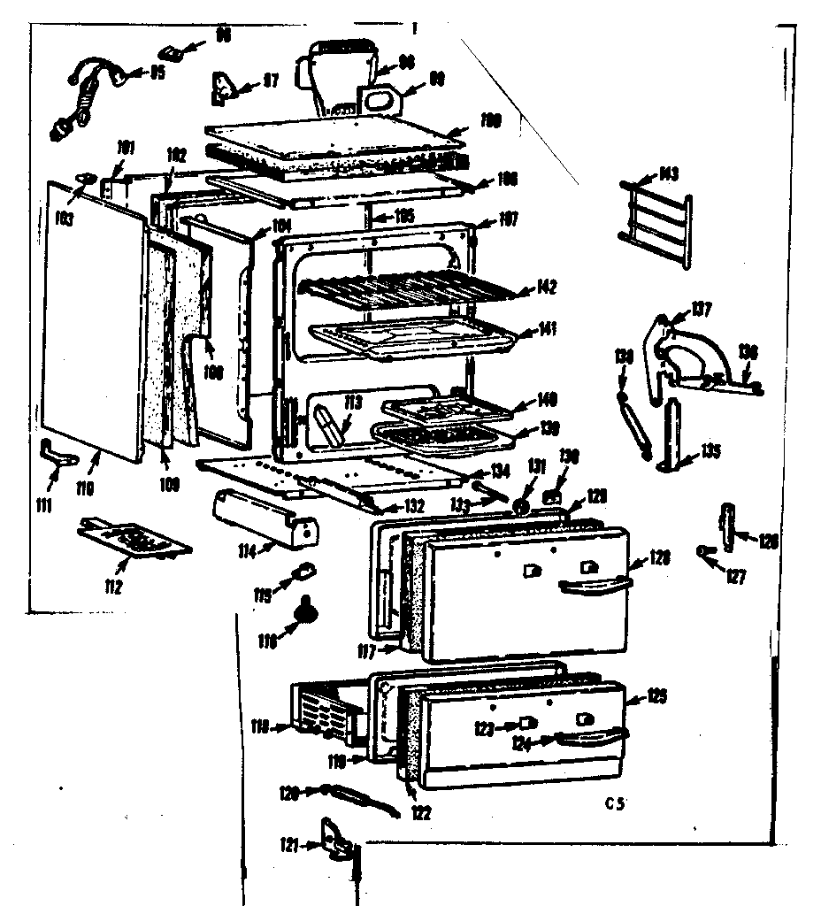 BODY SECTION