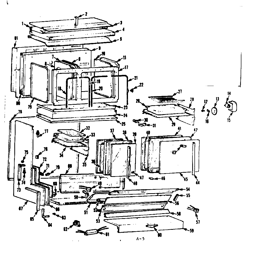 BODY SECTION
