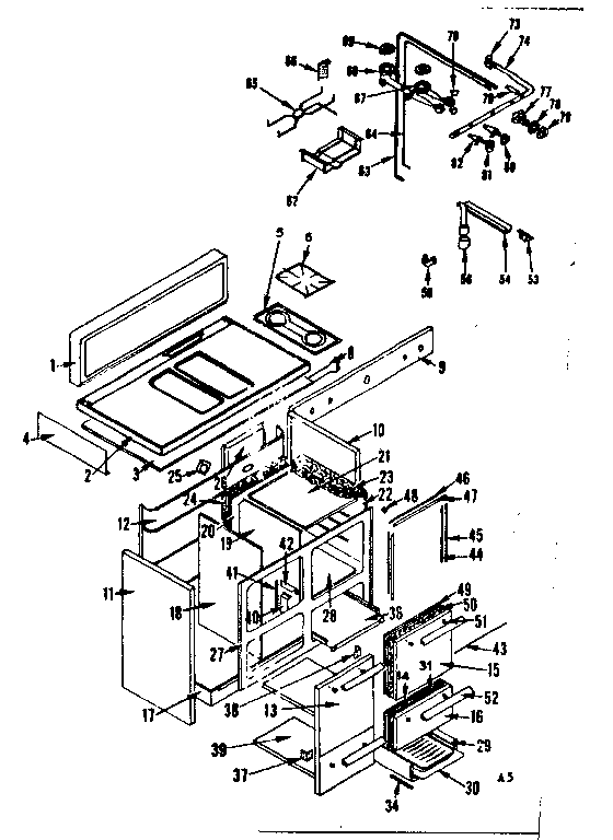 BODY SECTION