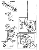 Bulkhead assembly