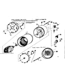 Stator assembly