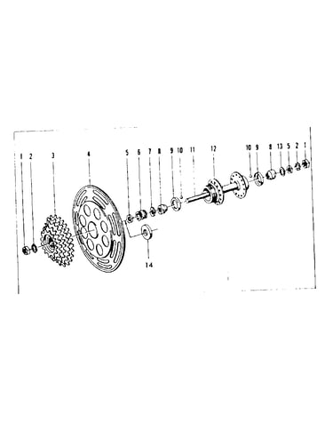 Rear hub