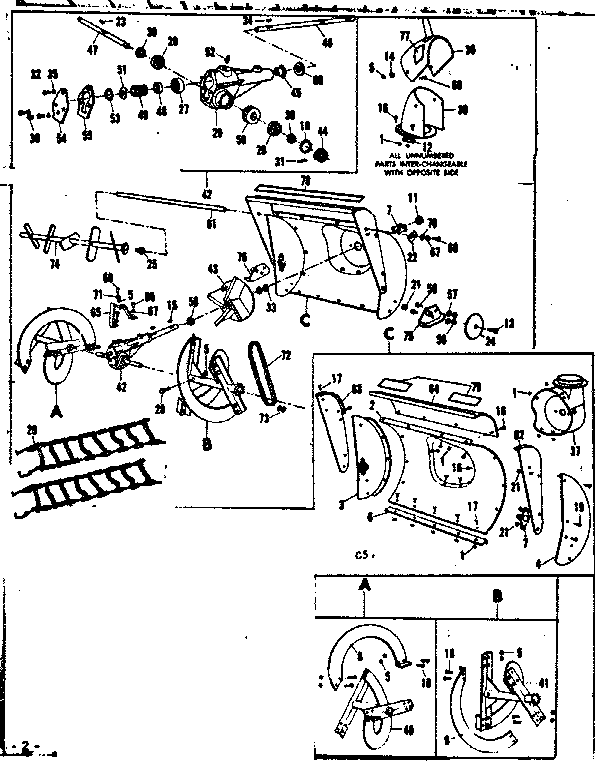 Auger assembly