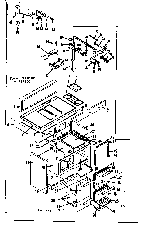 BODY SECTION