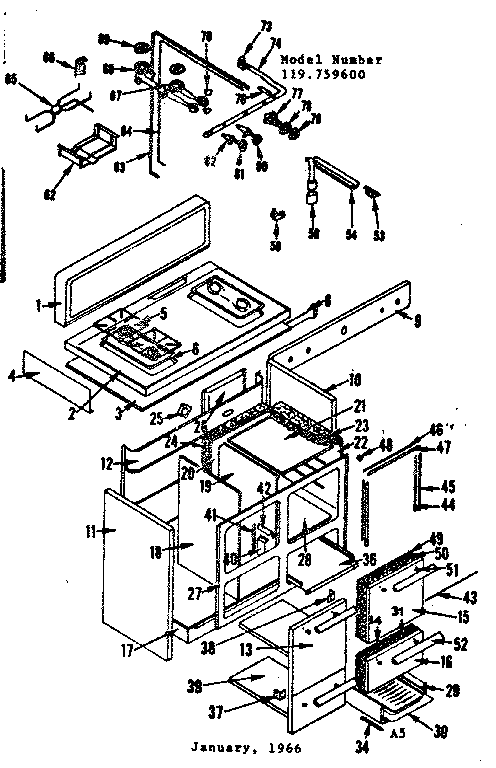 BODY SECTION