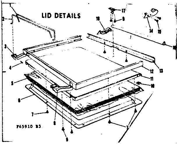 Lid details