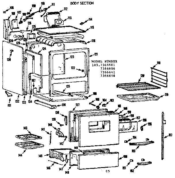 BODY SECTION