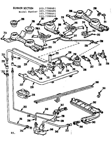 Burner section