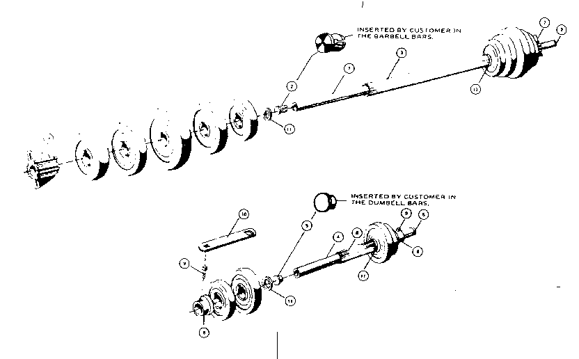 Barbell and dumbell assembly