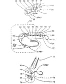 Hose assembly