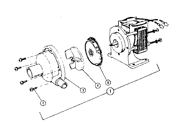 Pump and motor assembly