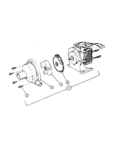 Pump and motor assembly
