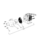 Pump and motor assembly