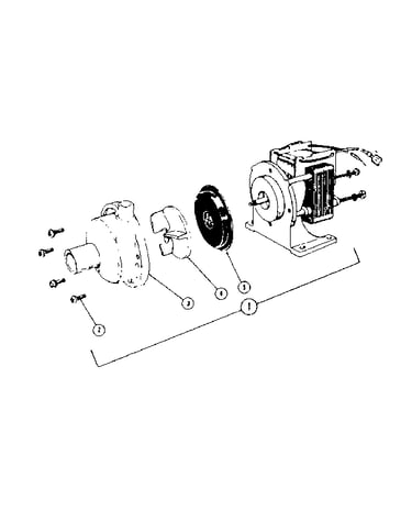 Pump and motor assembly