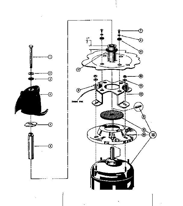 Motor and impeller assembly