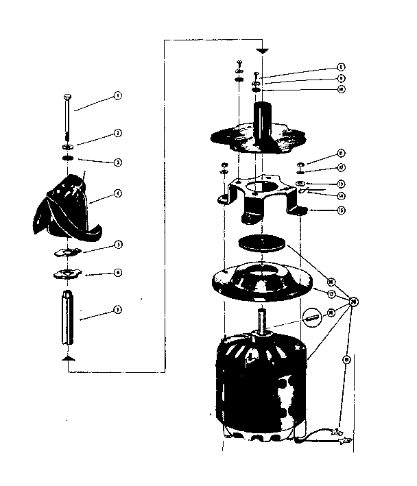Motor and impeller assembly