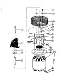 Motor and impeller assembly