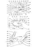 Motor and pump assembly