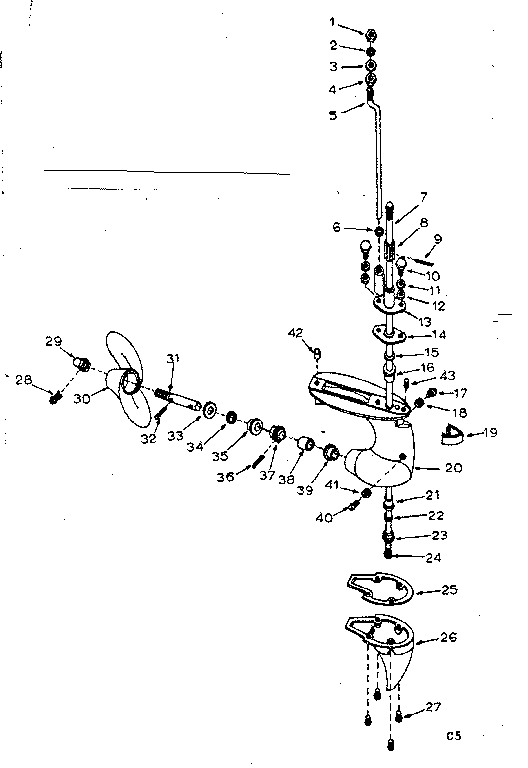 Lower unit assembly