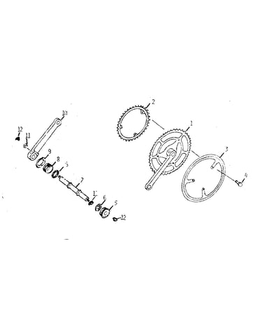 Chain wheel assembly