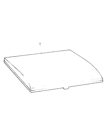 Case