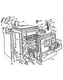 Body section