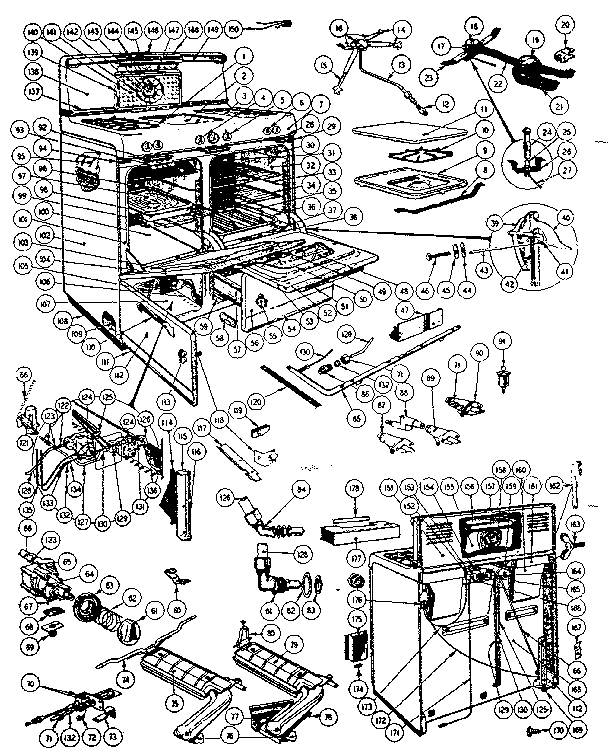 BODY SECTION