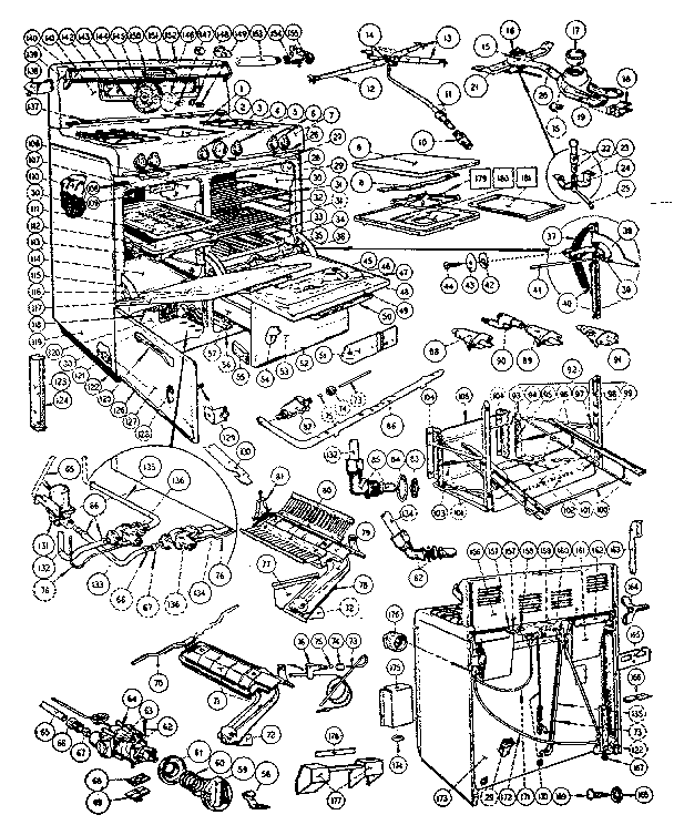 BODY SECTION