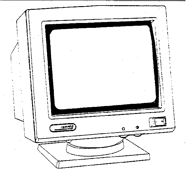 MONITOR