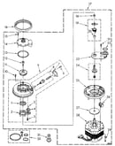 Pump and motor