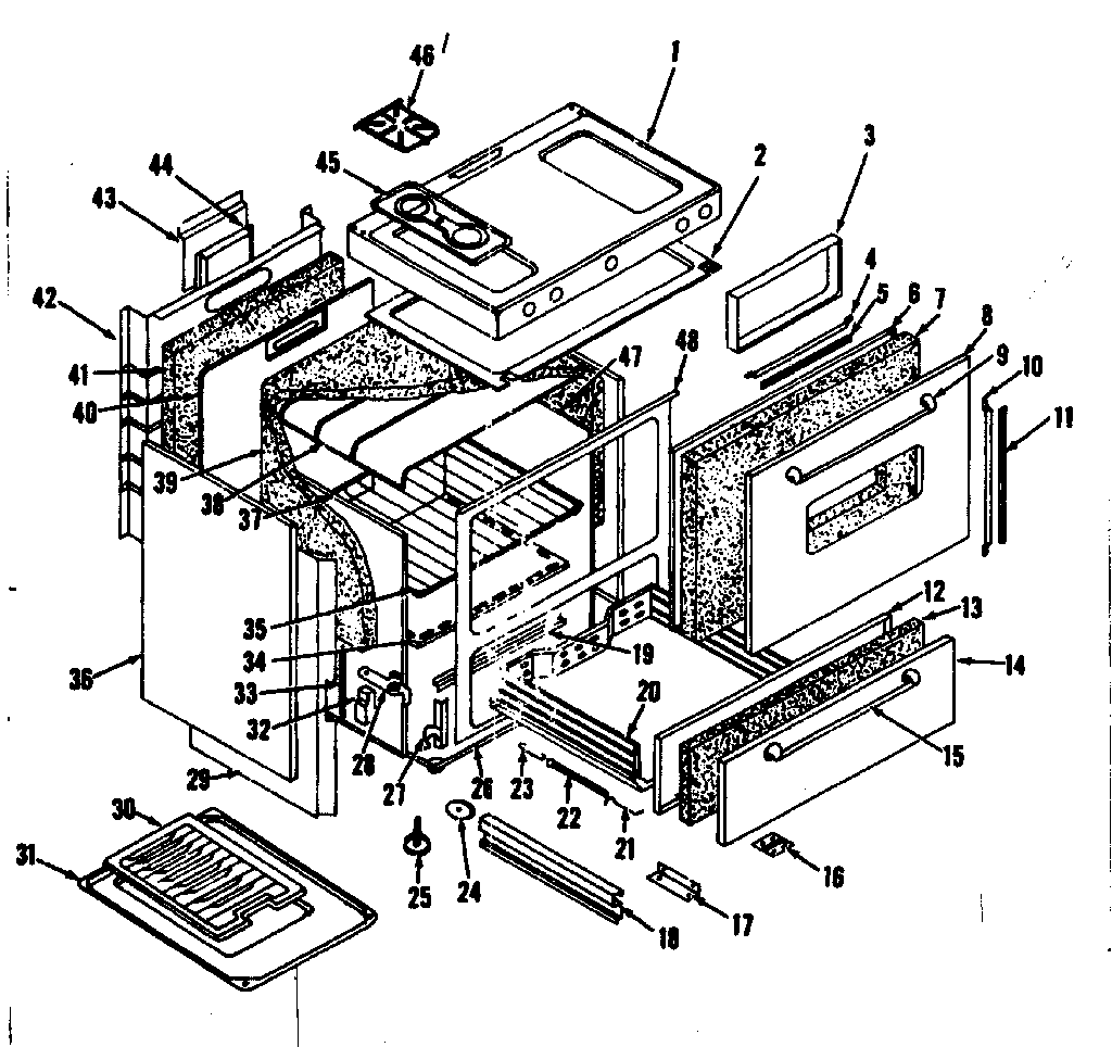 BODY SECTION