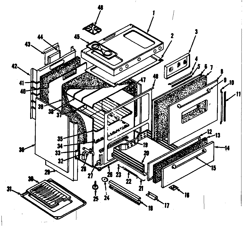 BODY SECTION