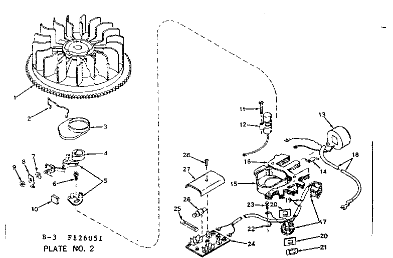 Alternator magneto